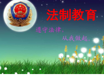 小学主题班会《法制教育》PPT课件(共12页)