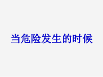 小学主题班会《当危险发生的时候》PPT课件(共23页)