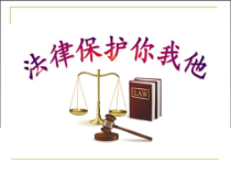 小学主题班会《法律保护你我他》PPT课件(共33页)