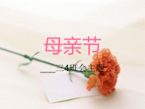 小学主题班会《母亲节》PPT课件(共18页)