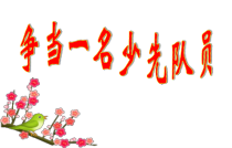 小学主题班会《入队仪式》PPT课件(共18页)