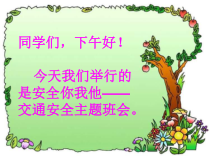小学主题班会《文明出行》PPT课件(共12页)