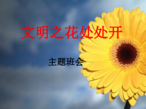 小学主题班会《文明礼仪》PPT课件(共16页)