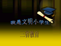 小学主题班会《我是文明小学生》PPT课件(共29页)