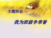 小学主题班会《我为班级争荣誉》PPT课件(共21页)