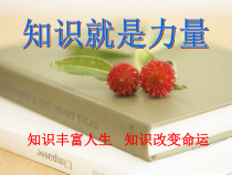 小学主题班会《知识就是力量》PPT课件(共21页)