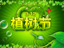 小学主题班会《植树节》PPT课件1(共12页)