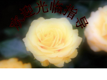 主题班会《放飞理想，展翅飞翔》PPT课件(共34页)-小学六年级下学期