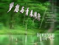 主题班会《梦想与青春同行》PPT课件(共17页)-小学六年级下学期