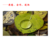 主题班会《团结、合作、进取》PPT课件(共26页)-小学六年级下学期