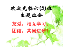 主题班会《友爱，互相学习；团结，共同进步》PPT课件(共21页)-小学六年级下学期