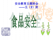 小学五年级上主题班会《食品安全》PPT课件(共27页)