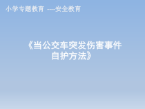 主题班会《当公交车突发伤害事件自护方法》PPT课件(共16页)-小学五年级下学期