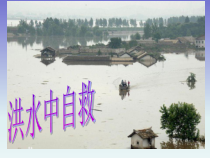 主题班会《洪水中自救》PPT课件(共36页)-小学五年级下学期