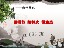 主题班会《清明节文明祭祀-防火安全》PPT课件-小学五年级下学期