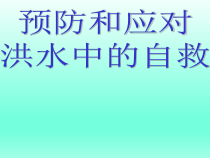 主题班会《预防和应对洪水中自救》PPT课件 (共25页)-小学五年级下学期