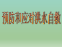 主题班会《预防的应对洪水自救》PPT课件3(共19页)-小学五年级下学期