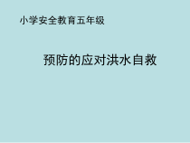 主题班会《预防的应对洪水自救》PPT课件(共15页)-小学五年级下学期