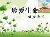 第11课《珍爱生命》PPT课件3-【北师大版】心理健康一年级下册