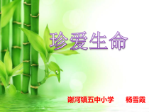 第11课《珍爱生命》PPT课件4-【北师大版】心理健康一年级下册