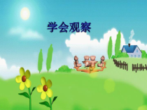 第17课《学会观察》PPT课件1-【北师大版】心理健康二年级上册