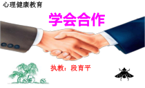 第14课《学会合作1》PPT课件0-【北师大版】心理健康二年级下册