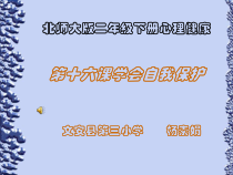 第16课《学会自我保护》PPT课件3-【北师大版】心理健康二年级下册