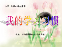第11课《我的学习习惯》PPT课件4-【北师大版】心理健康二年级下册