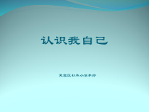 第2课《正确认识我自己》PPT课件4-【北师大版】心理健康六年级上册
