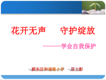 第11课《学会自我保护》PPT课件1-【北师大版】心理健康六年级上册