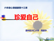 第14课《珍爱自己》PPT课件7-【北师大版】心理健康六年级下册