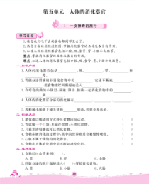 四年级上册科学【2020新大象版】第五单元《人体的消化器官》一课一练（无答案）