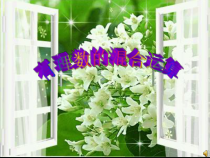 1.4.2《有理数四则混合运算（3）》PPT课件1-七年级上册数学人教版