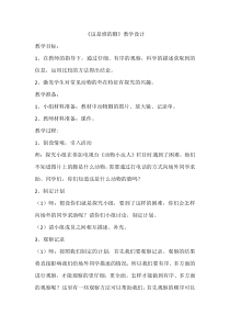 【大象版】二年级上册科学 《这是谁的脚》教学设计