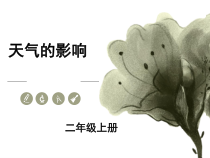 【大象版】二年级上册科学 《天气的影响》PPT课件2