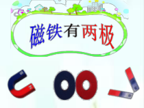【大象版】二年级上册科学 3.1《磁铁有两极》课件（PPT11页)+教案