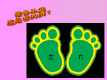 【大象版】二年级上册科学 准备单元《这是谁的脚》PPT课件2