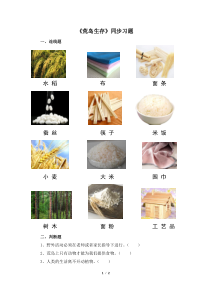【大象版】二年级下册科学-1.1《荒岛生存》课件教案+素材（5份打包）