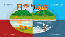 【大象版】二年级下册科学-3.2《四季与动物》PPT课件（共17页）