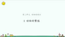 【新大象版】三年级上册科学-1《动物的繁殖》PPT课件