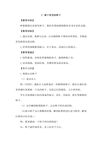 【2020版大象版】三年级下册科学3.2《播下希望的种子》教案