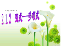 2.1.3《多项式》PPT课件3-七年级上册数学人教版