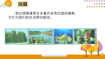 【2020新大象版】三年级下册科学《科学播下希望的种子》ppt课件