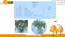 【2020新大象版】三年级下册科学《科学开放的花朵》ppt课件