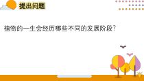 【2020新大象版】三年级下册科学《科学植物种植展示会》ppt课件