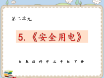 2020新大象版科学三年级下册《安全用电》ppt课件（含2视频）