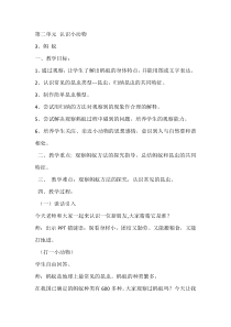 【大象版】一年级上册科学-2.3《蚂蚁》教案+练习