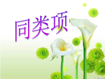 2.2.1《同类项》PPT课件3-七年级上册数学人教版
