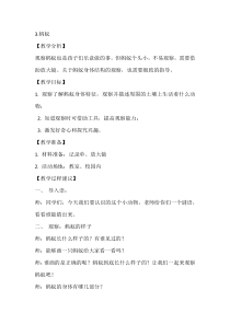 【大象版】一年级上册科学-2.3《蚂蚁》教案7