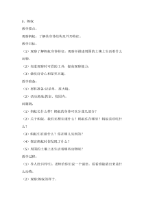【大象版】一年级上册科学-2.3《蚂蚁》教案8